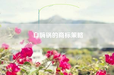 自嗨锅的商标策略