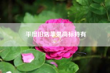 平度旧店苹果商标持有