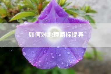 如何对地理商标提异