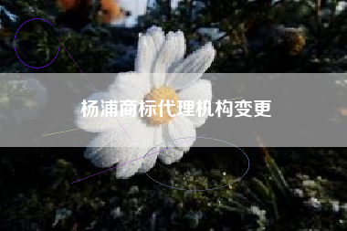 杨浦商标代理机构变更