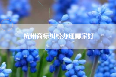 杭州商标纠纷办理哪家好