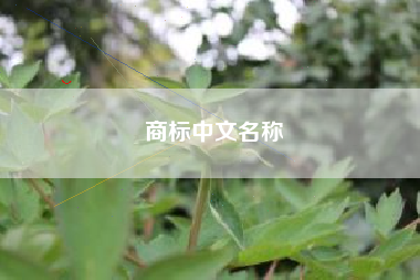 商标中文名称