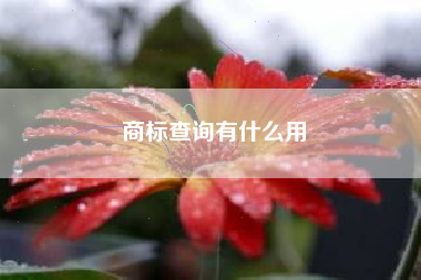 商标查询有什么用