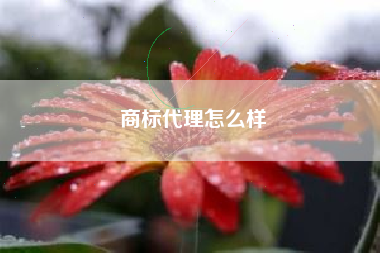 商标代理怎么样
