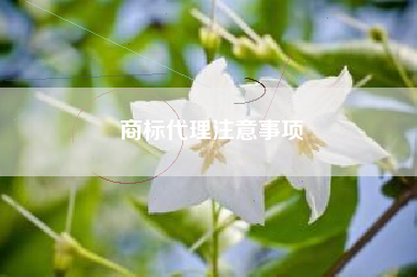 商标代理注意事项
