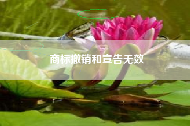 商标撤销和宣告无效