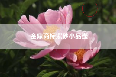 金鼎商标紫砂小品壶