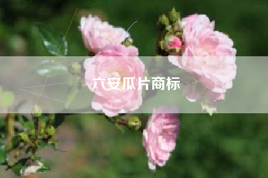六安瓜片商标
