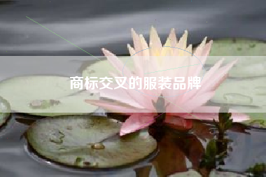 商标交叉的服装品牌