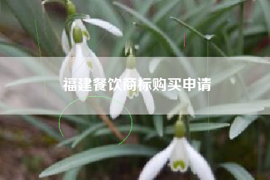 福建餐饮商标购买申请