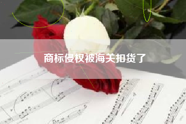 商标侵权被海关扣货了