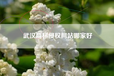 武汉商标侵权网站哪家好