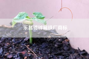 乐昌镀锌扁铁厂商标