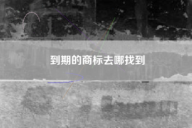 到期的商标去哪找到