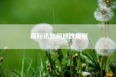 商标法如何修改规则