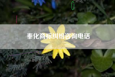 奉化商标纠纷咨询电话