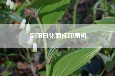浏阳日化商标印刷机