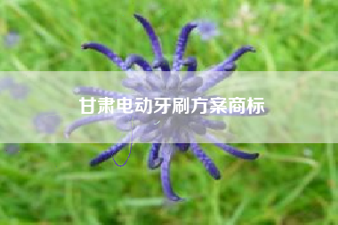甘肃电动牙刷方案商标