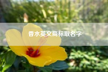 香水英文商标取名字