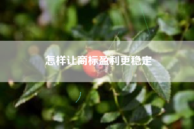 怎样让商标盈利更稳定