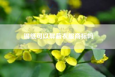 锡纸可以屏蔽衣服商标吗