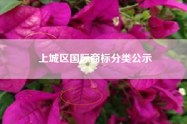 上城区国际商标分类公示