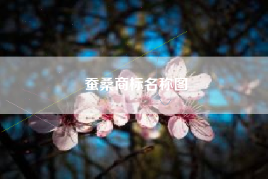 蚕桑商标名称图