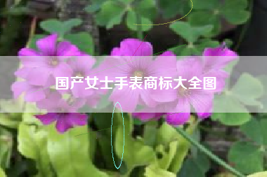 国产女士手表商标大全图