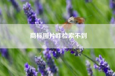 商标图片咋检索不到