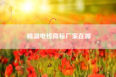 棉湖电线商标厂家在哪