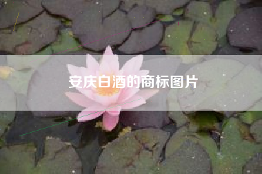 安庆白酒的商标图片