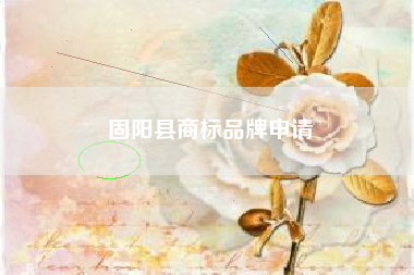 固阳县商标品牌申请