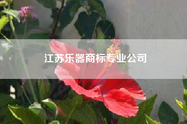 江苏乐器商标专业公司