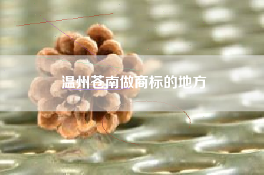 温州苍南做商标的地方