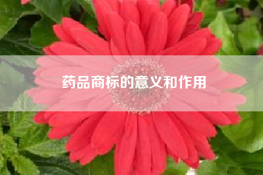 药品商标的意义和作用