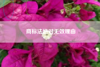 商标法绝对无效理由