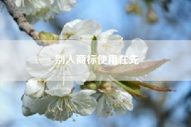 别人商标使用在先