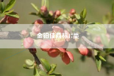 金铂佳商标17类