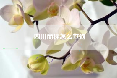 四川商标怎么查询