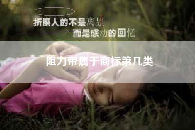 阻力带属于商标第几类