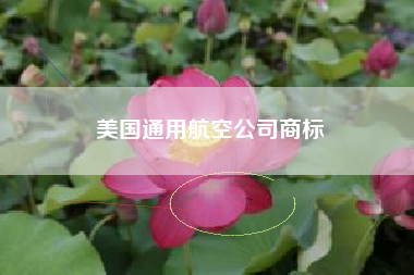 美国通用航空公司商标