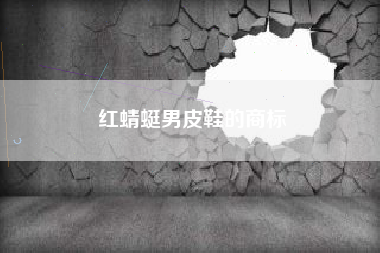 红蜻蜓男皮鞋的商标