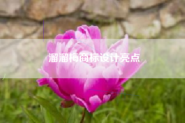 溜溜梅商标设计亮点