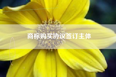 商标购买协议签订主体