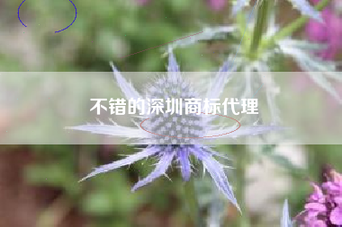 不错的深圳商标代理