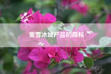 蜜雪冰城产品的商标