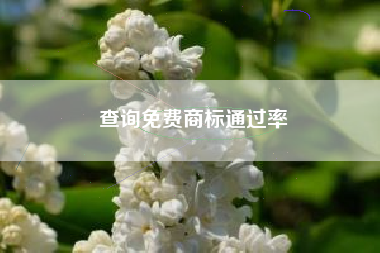 查询免费商标通过率