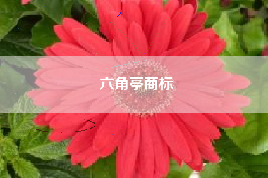六角亭商标