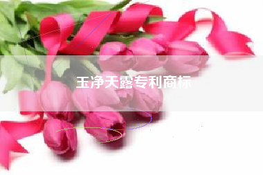 玉净天露专利商标
