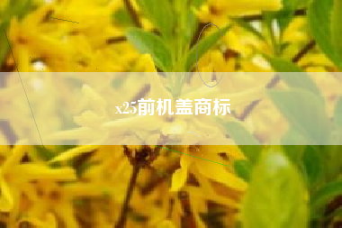 x25前机盖商标